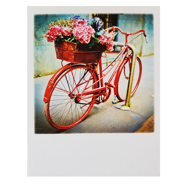 blumen fahrrad kaufen Postkarte 