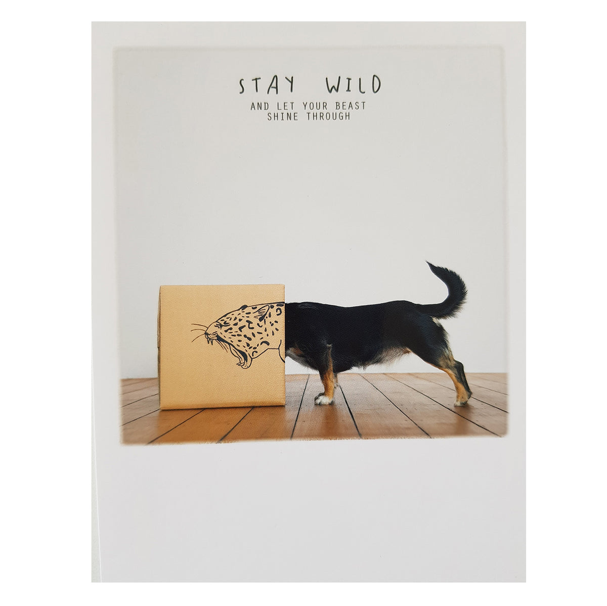 Postkarte &quot;Wild dog&quot;