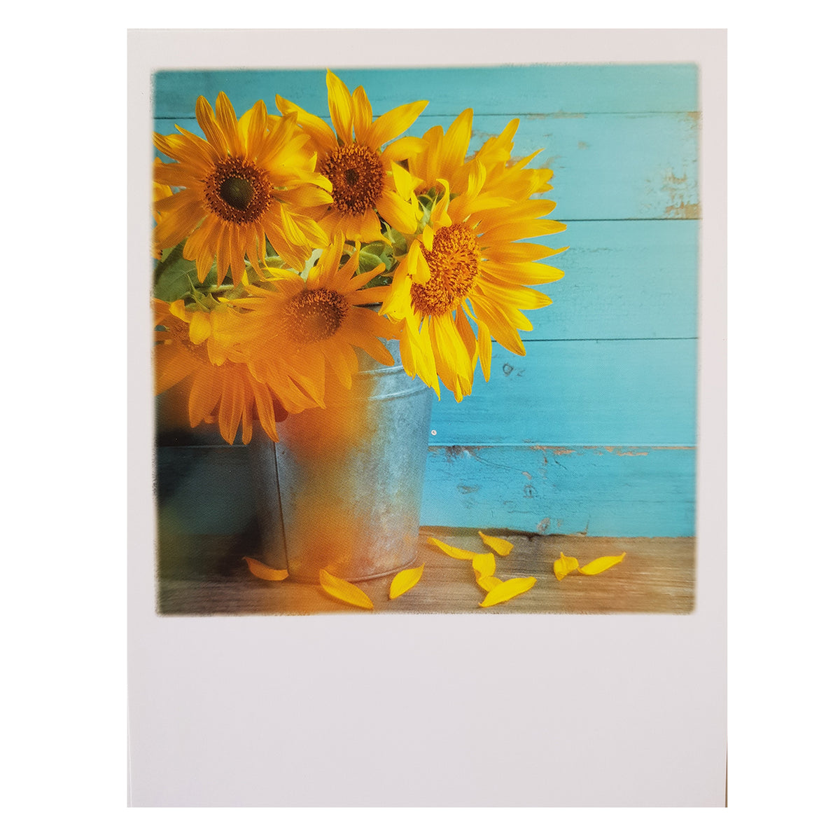 Postkarte &quot;Sunflowers&quot;