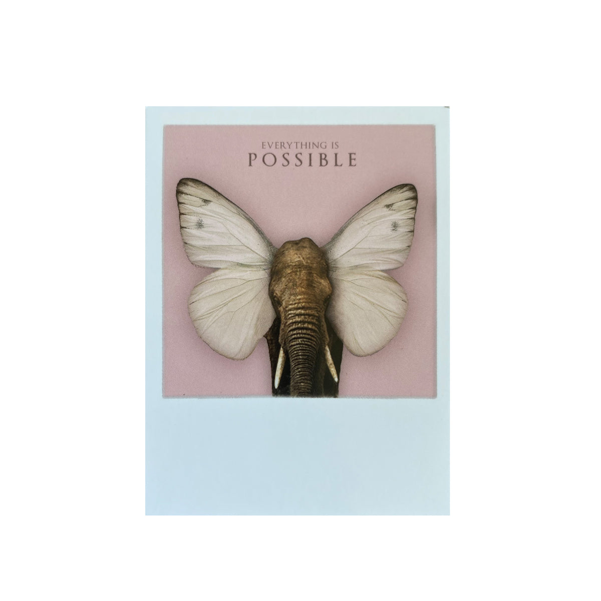Mini-Postkarte &quot;Elephant Butterfly&quot;