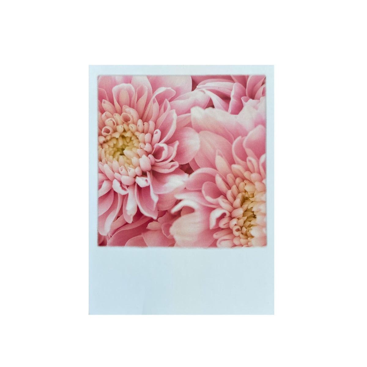 Mini-Postkarte &quot;Japanische Blumen&quot;