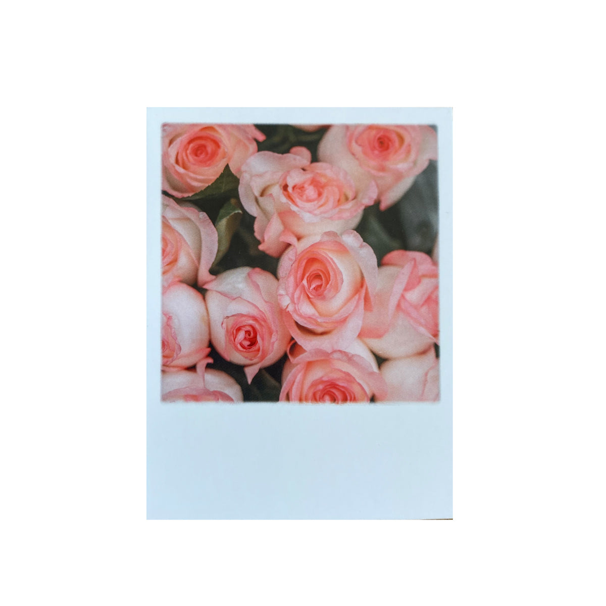 Mini-Postkarte &quot;Rosen&quot;