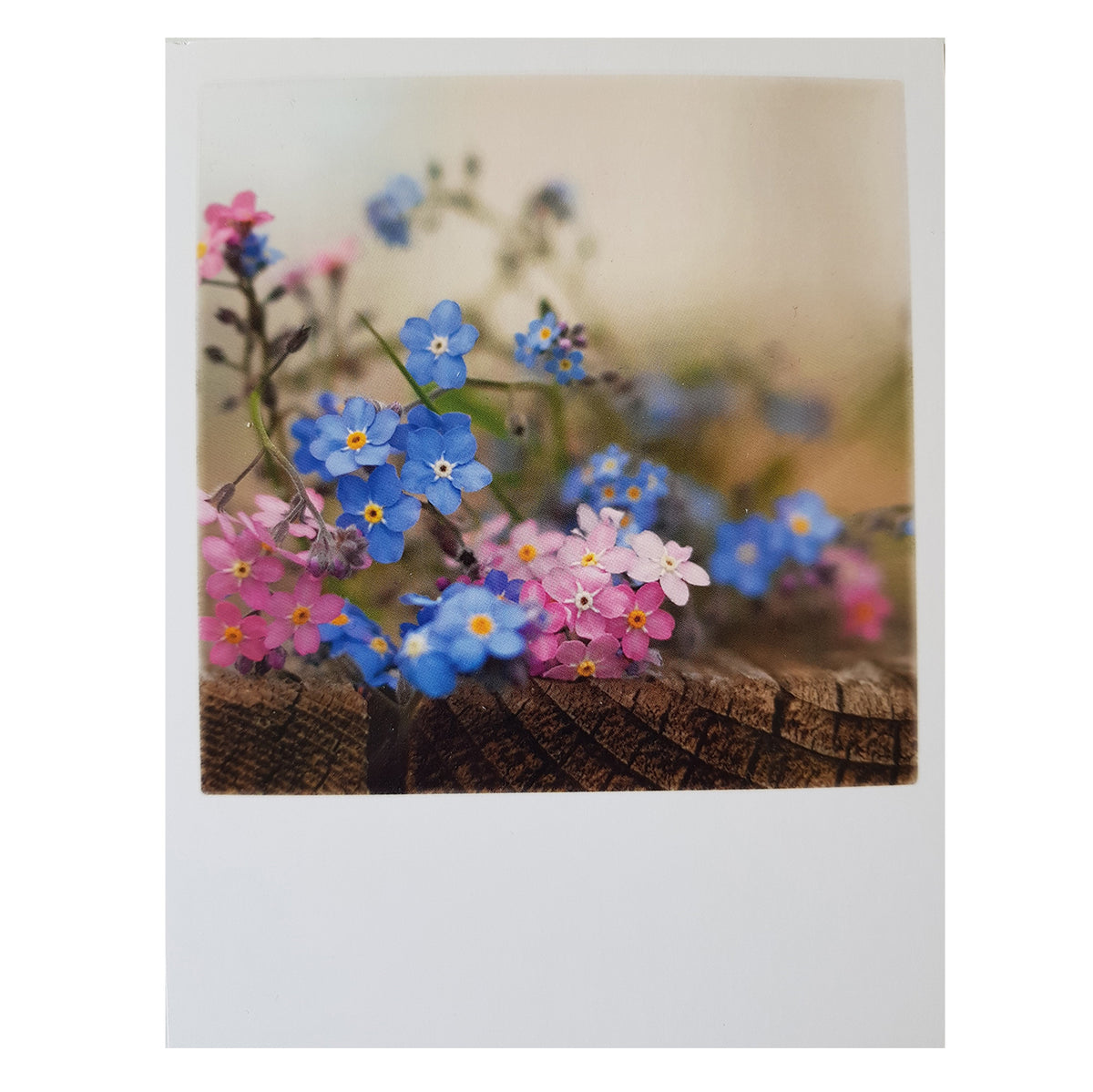 Postkarte &quot;Vergissmeinnicht&quot;
