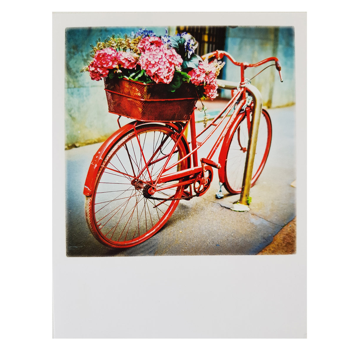 Postkarte &quot;Blumenfahrrad rot&quot;