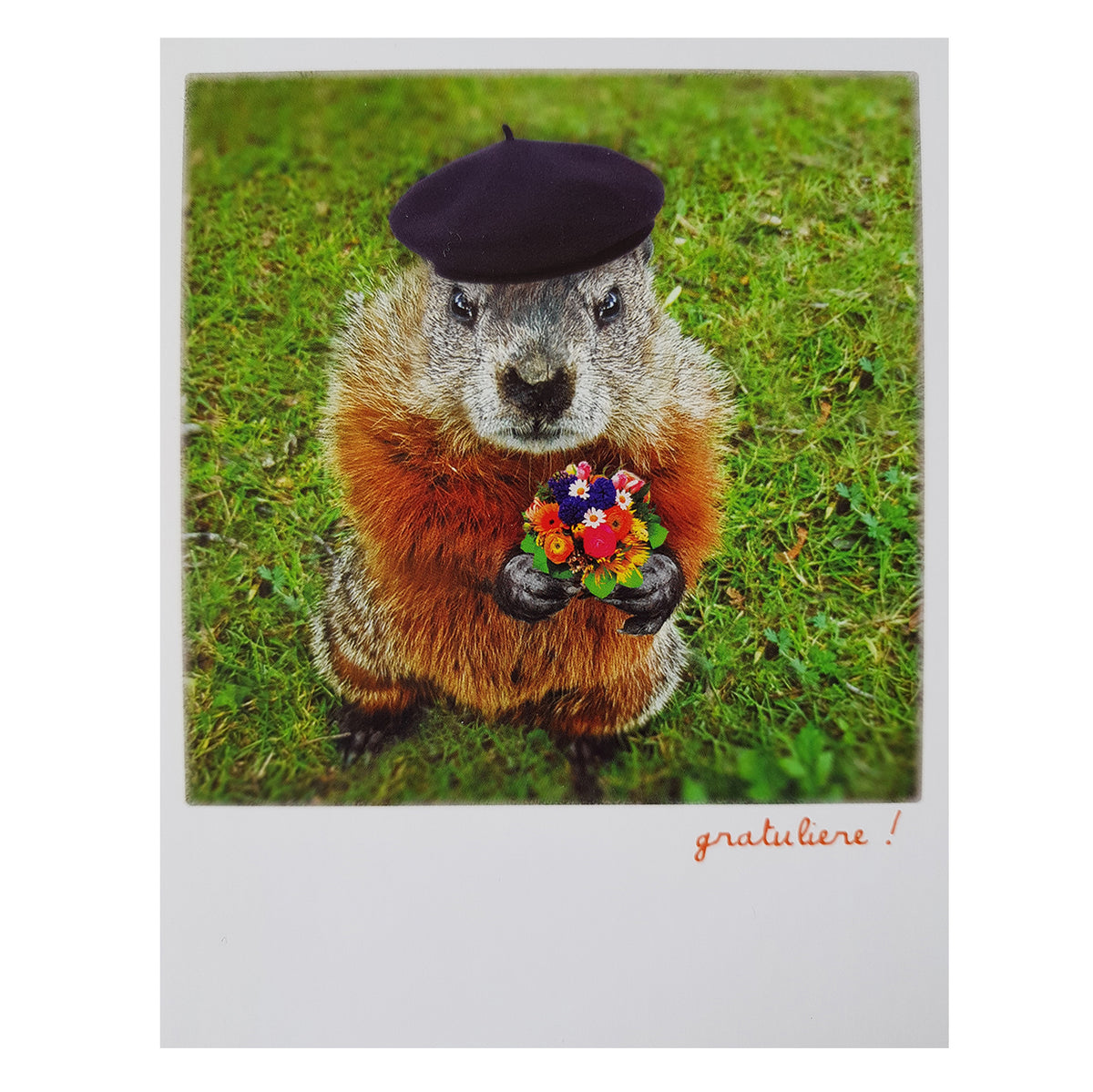 Postkarte &quot;Murmelgruß&quot;