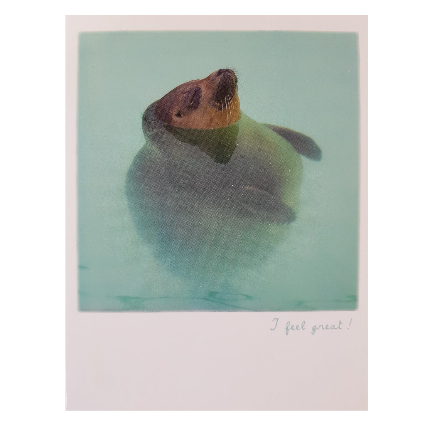 Postkarte "Seehund" Punkt & Strich