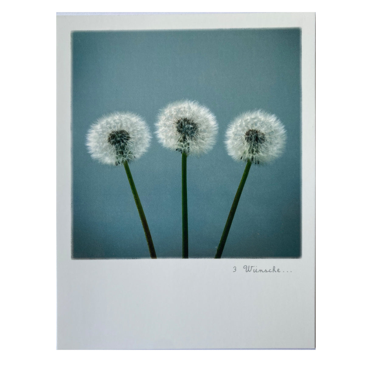 Postkarte &quot;Drei Wünsche&quot;