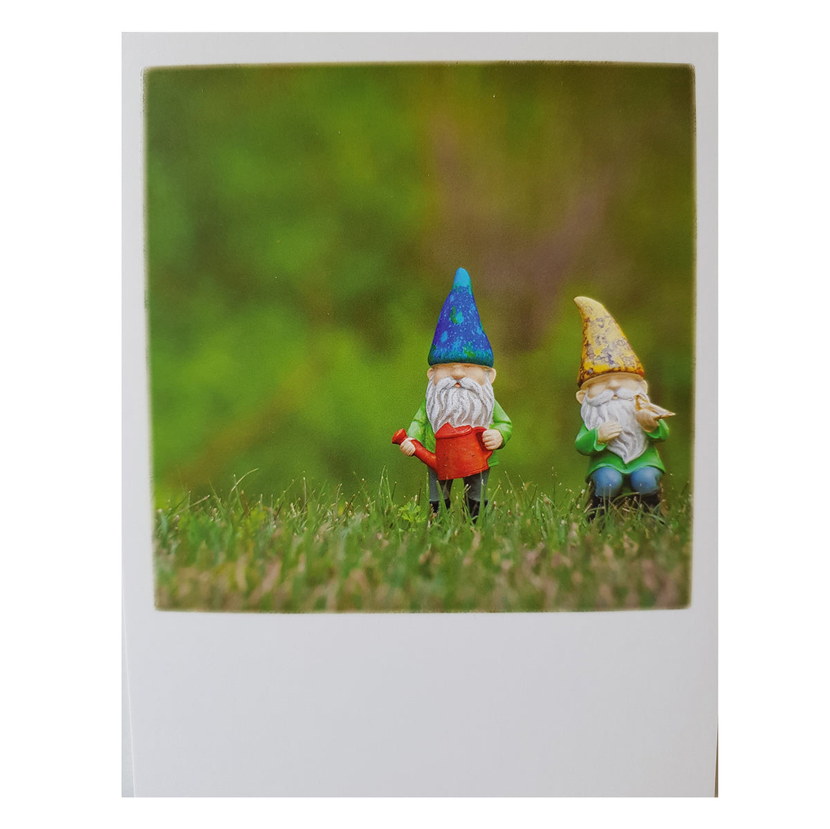 Postkarte &quot;Gartenzwerge&quot;