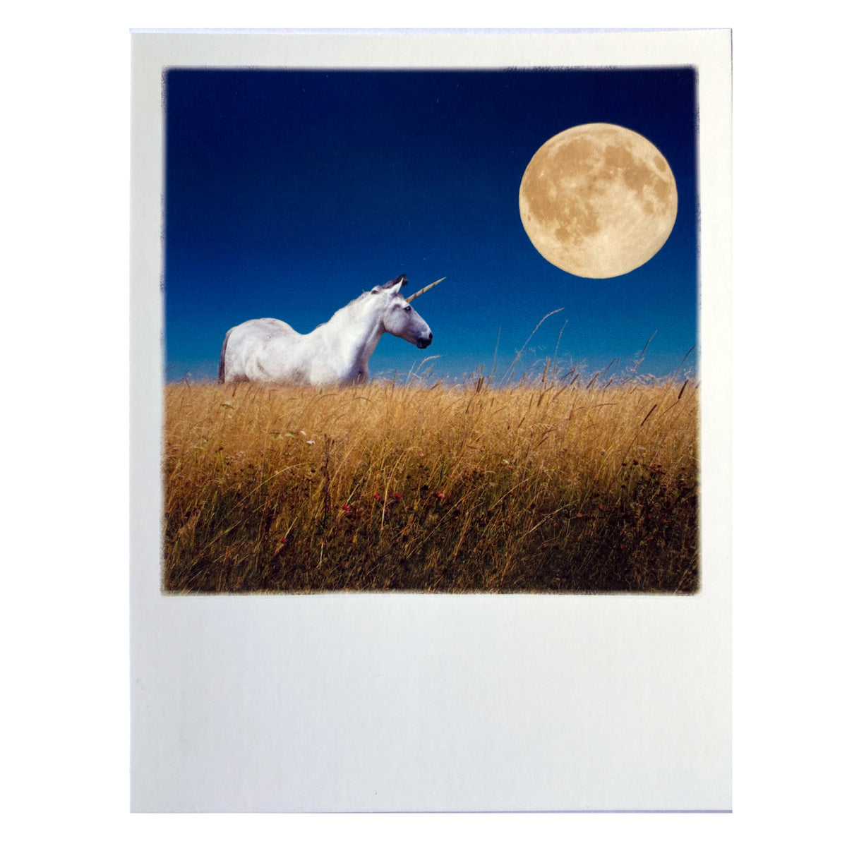 Postkarte &quot;Einhorn&quot;