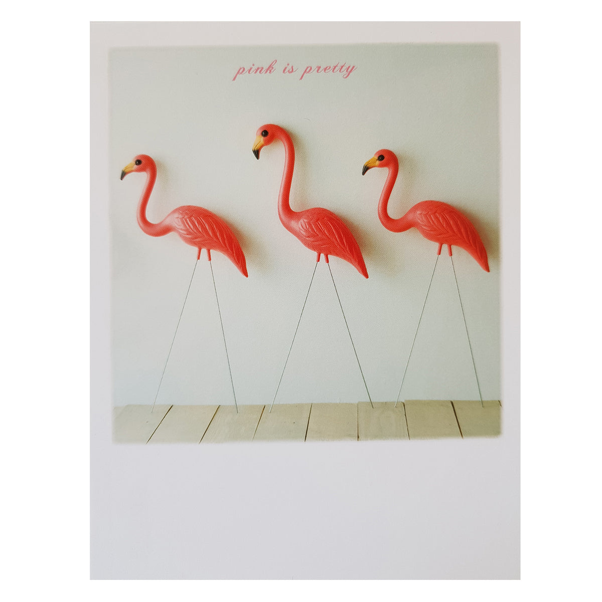 Postkarte &quot;Flamingos&quot;