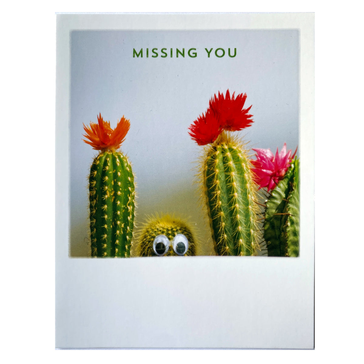 Postkarte &quot;Cactus missing&quot;