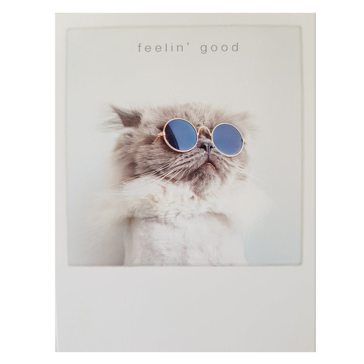 Postkarte &quot;Feeling good cat&quot;