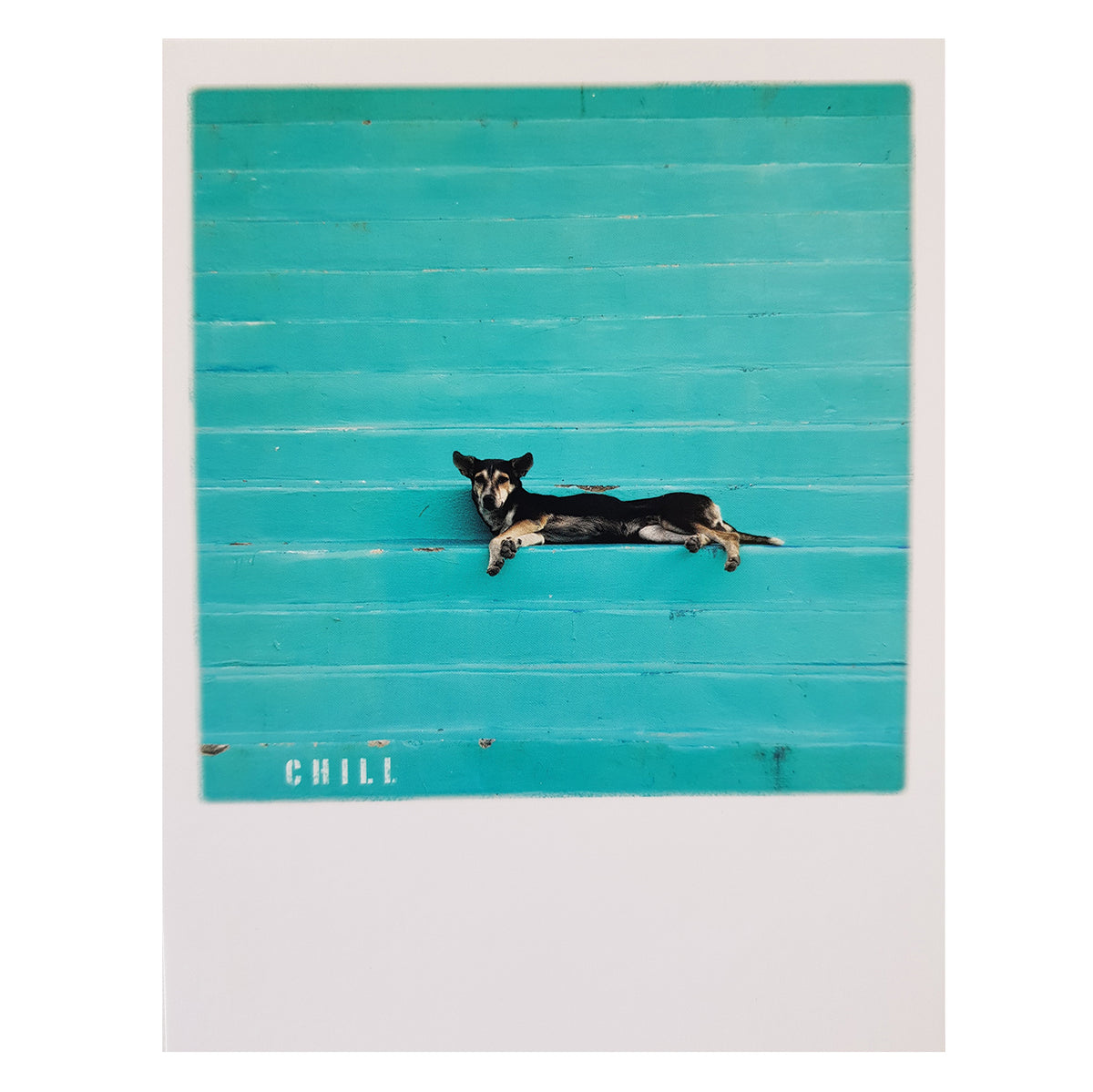 Postkarte &quot;Chill dog&quot;