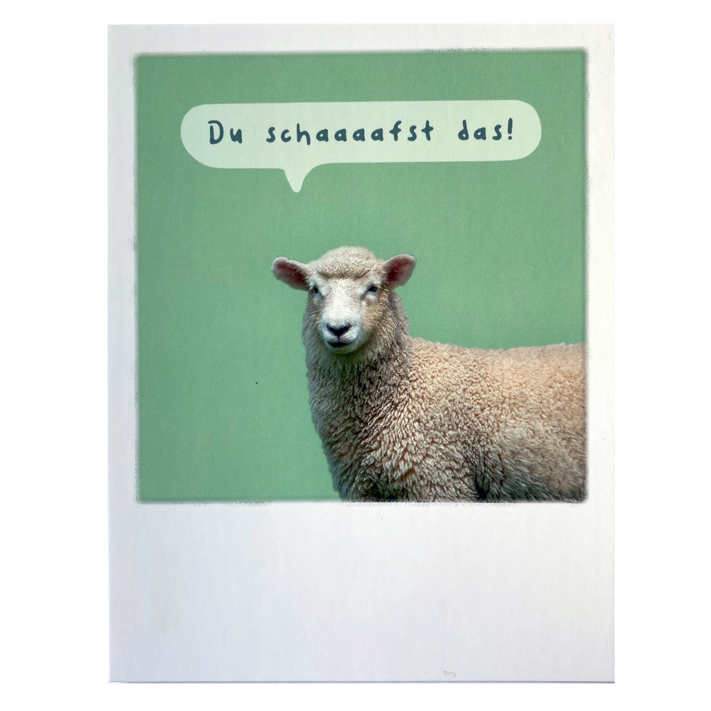  Punkt & Strich