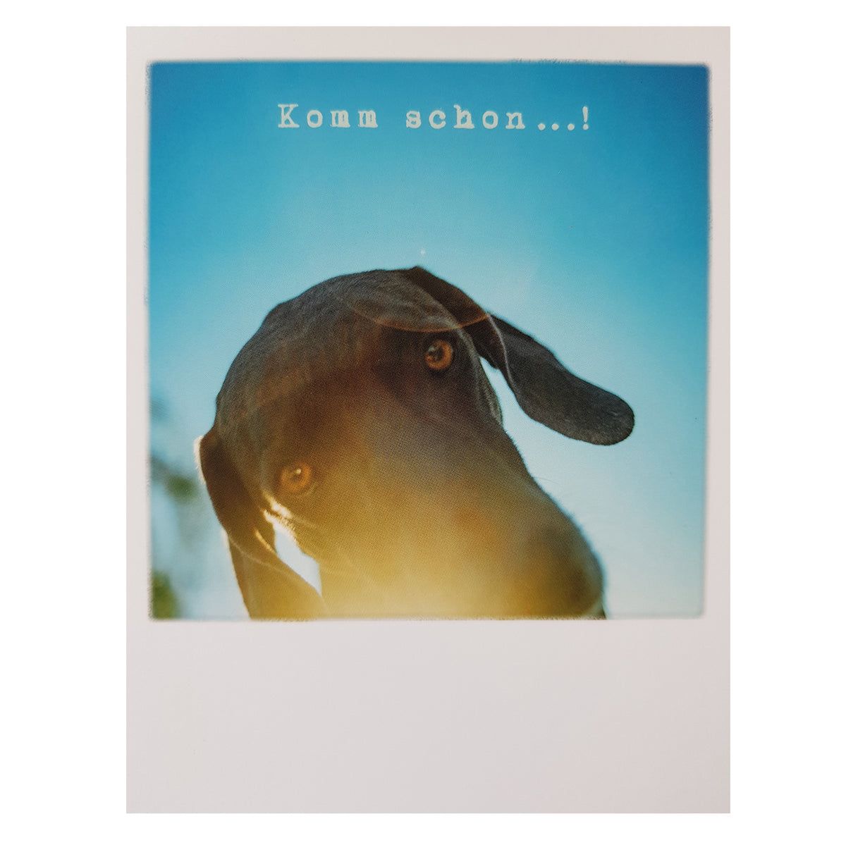 Postkarte &quot;Komm schon&quot;