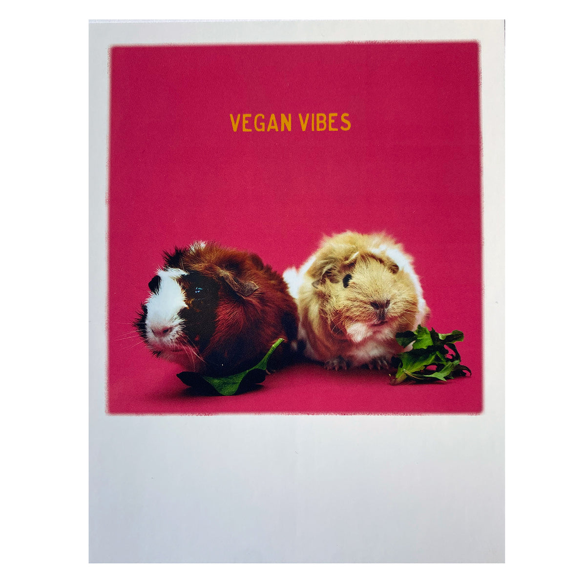 Postkarte  &quot;Vegan Vibes&quot;