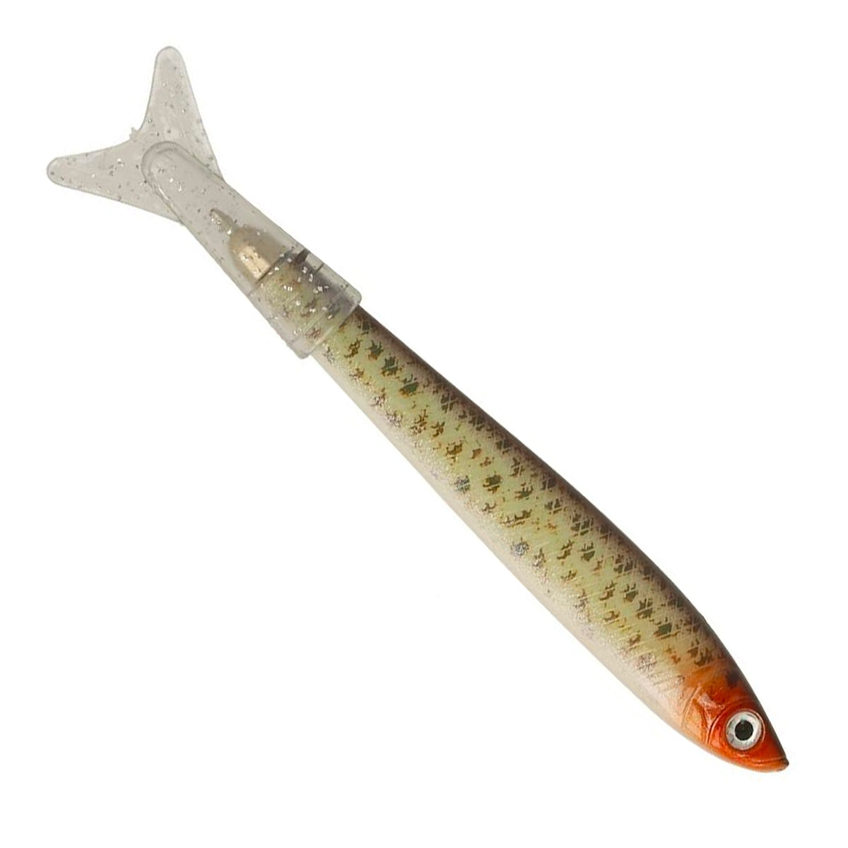 Fisch-Kuli Emil der Bachsaibling