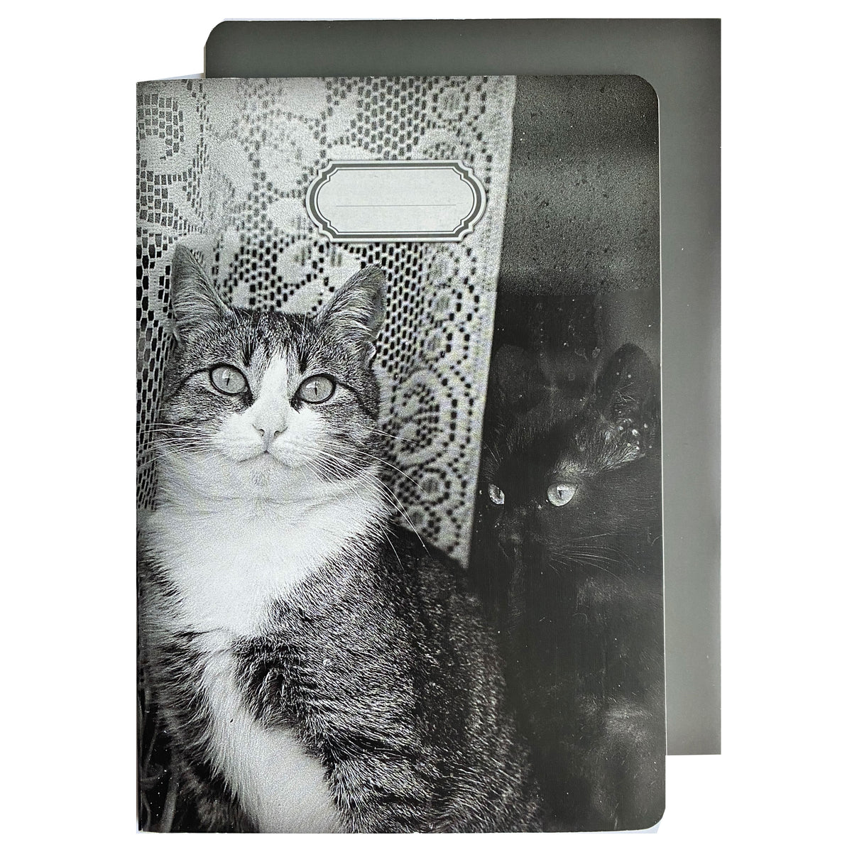 Journal in DIN A5, Motiv &quot;Cats&quot;