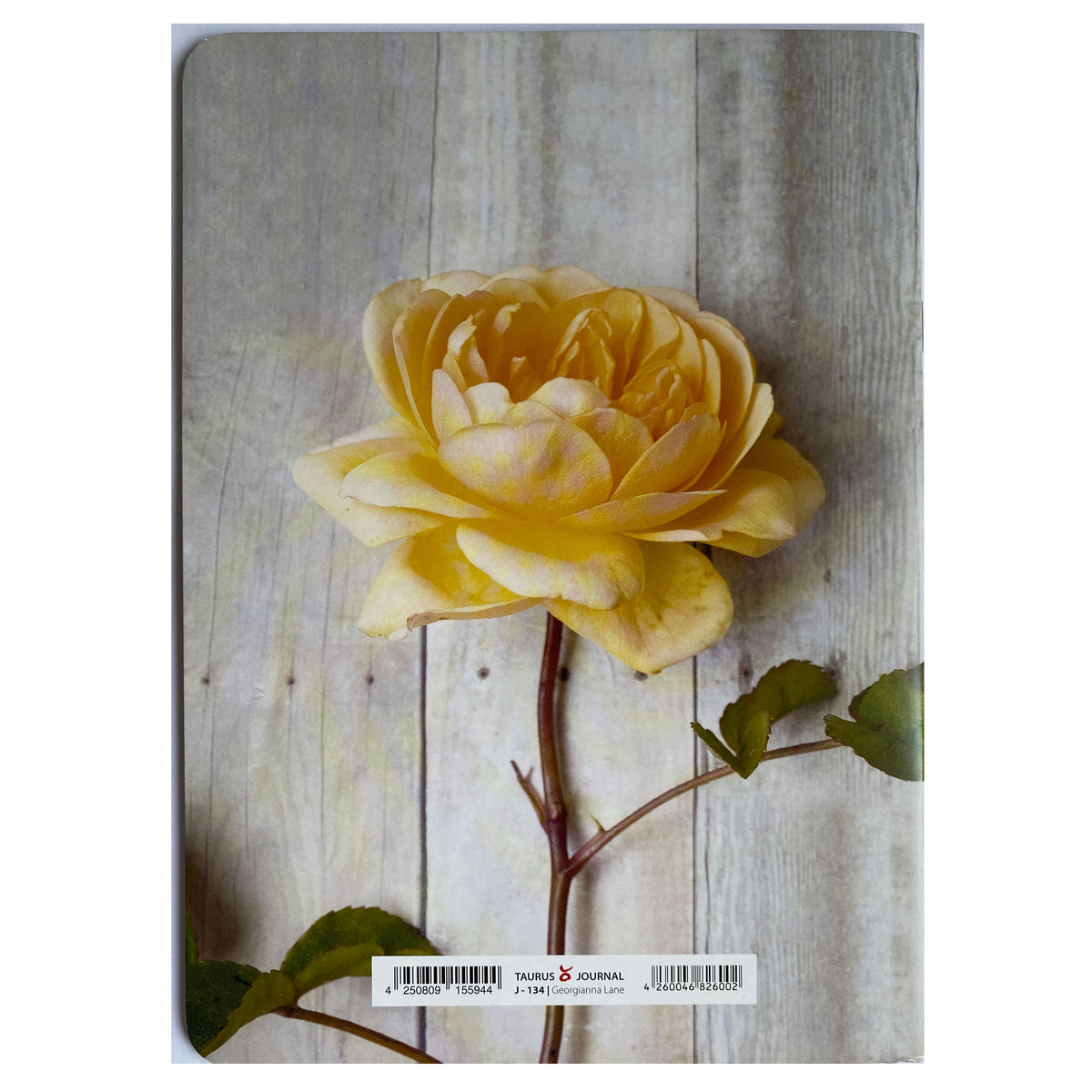Journal in DIN A5, Motiv &quot;Rose on wood&quot;