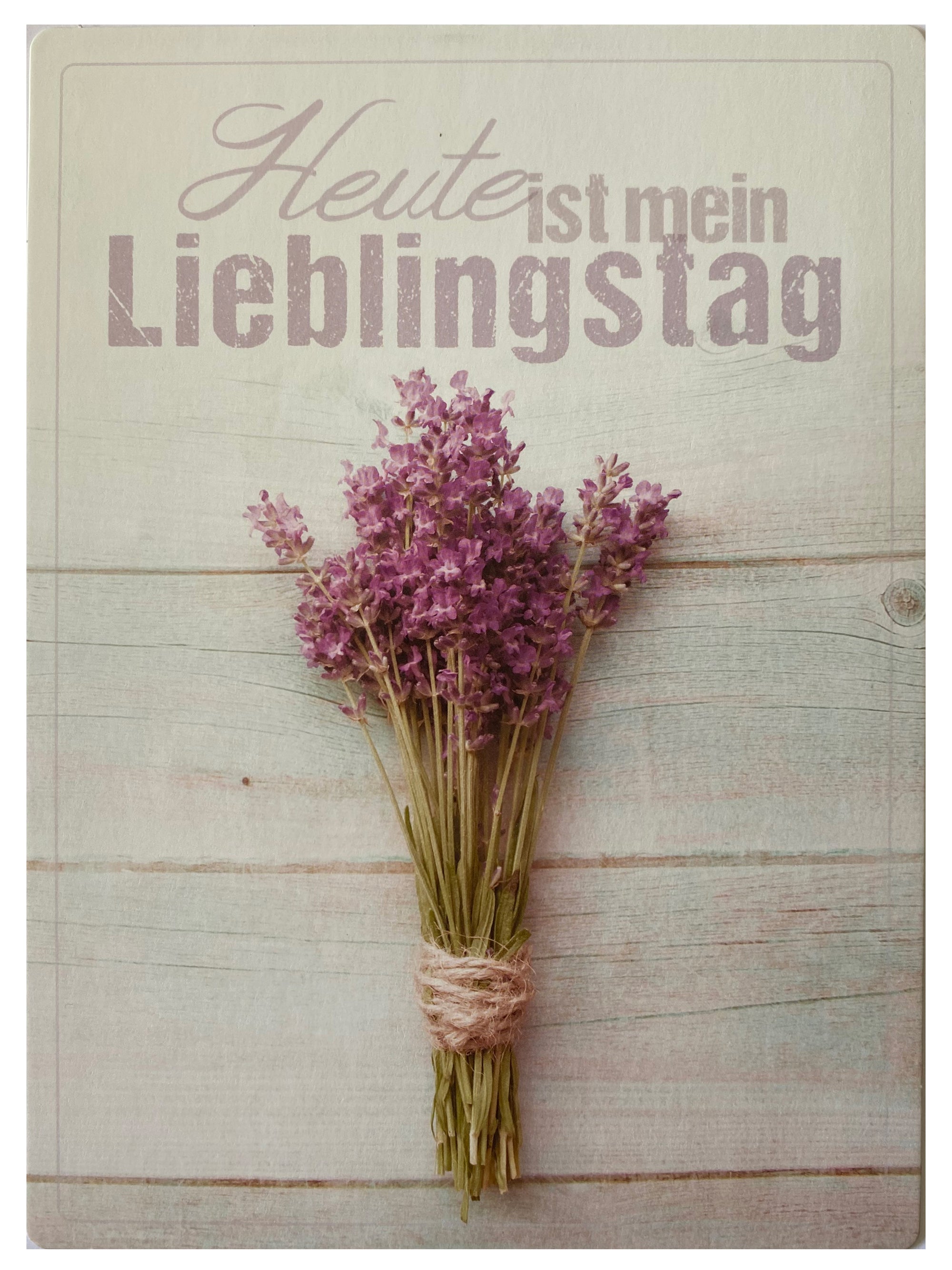  Punkt & Strich