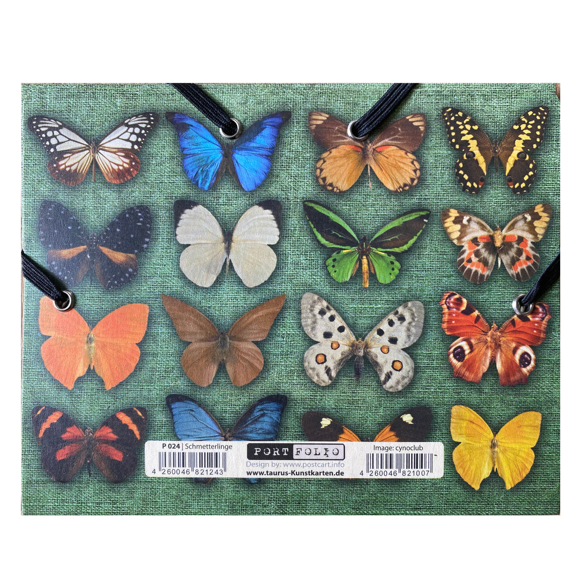 Geschenkumschlag B6 &quot;Schmetterlinge&quot;