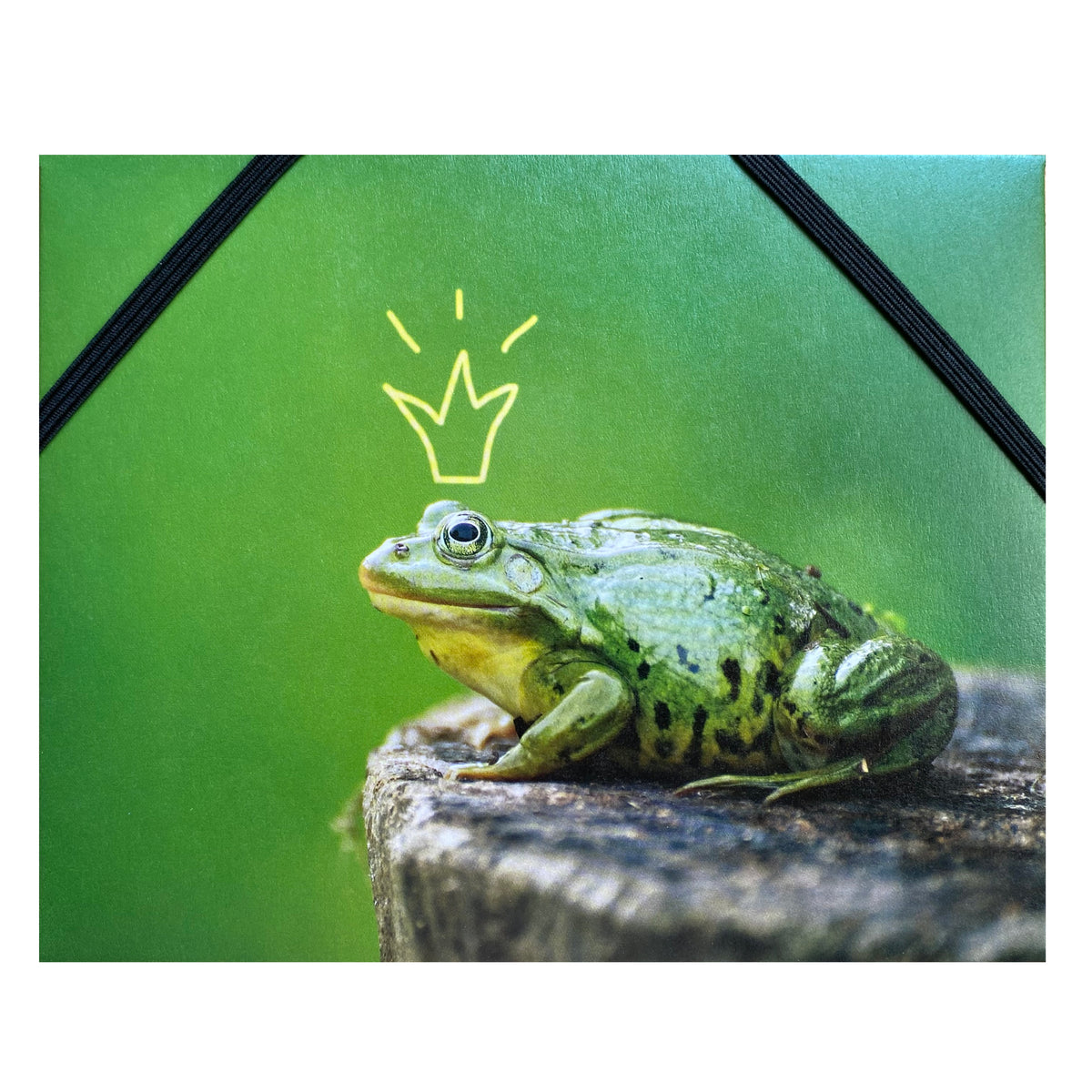 Geschenkumschlag B6 &quot;Froschkönig&quot;