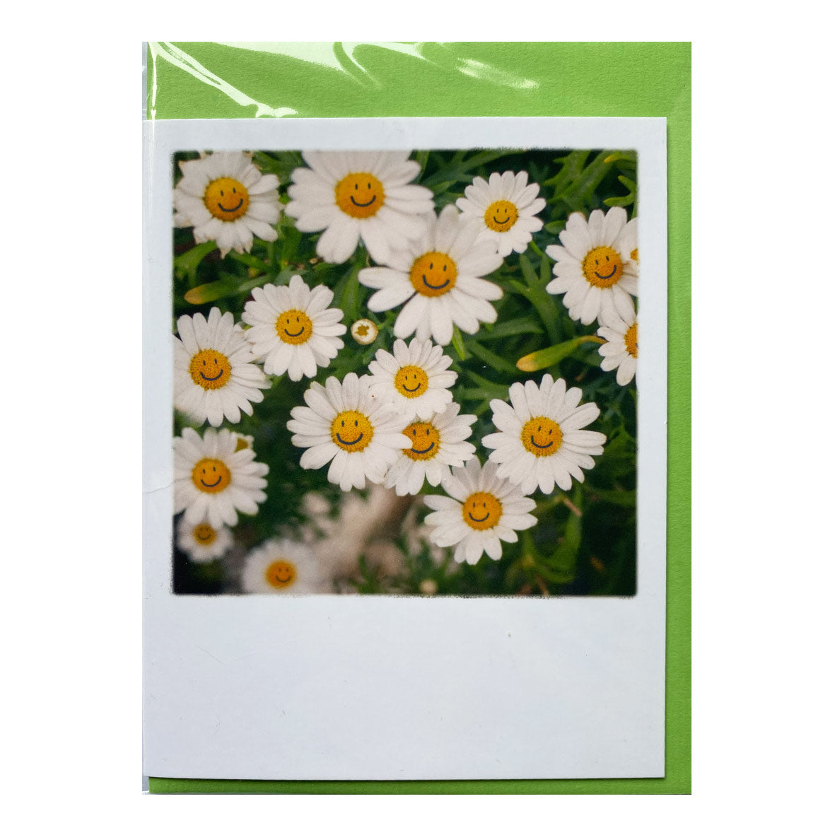 Klappkarte mit Umschlag &quot;Smiling Flowers&quot;