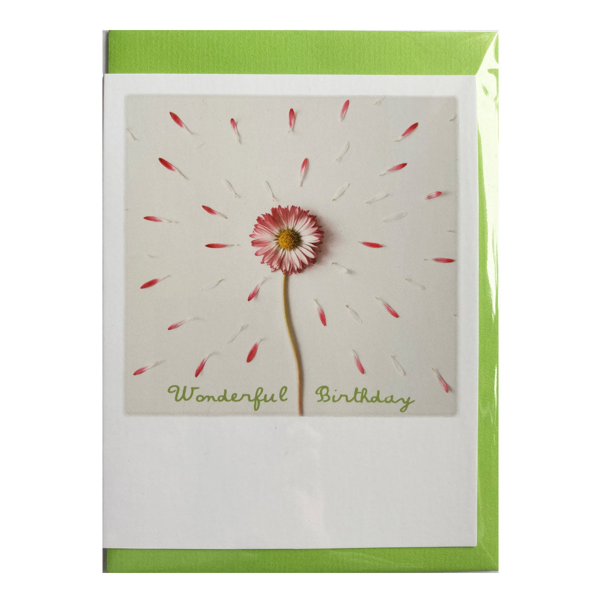 Klappkarte mit Umschlag &quot;Wonderful Birthday&quot;