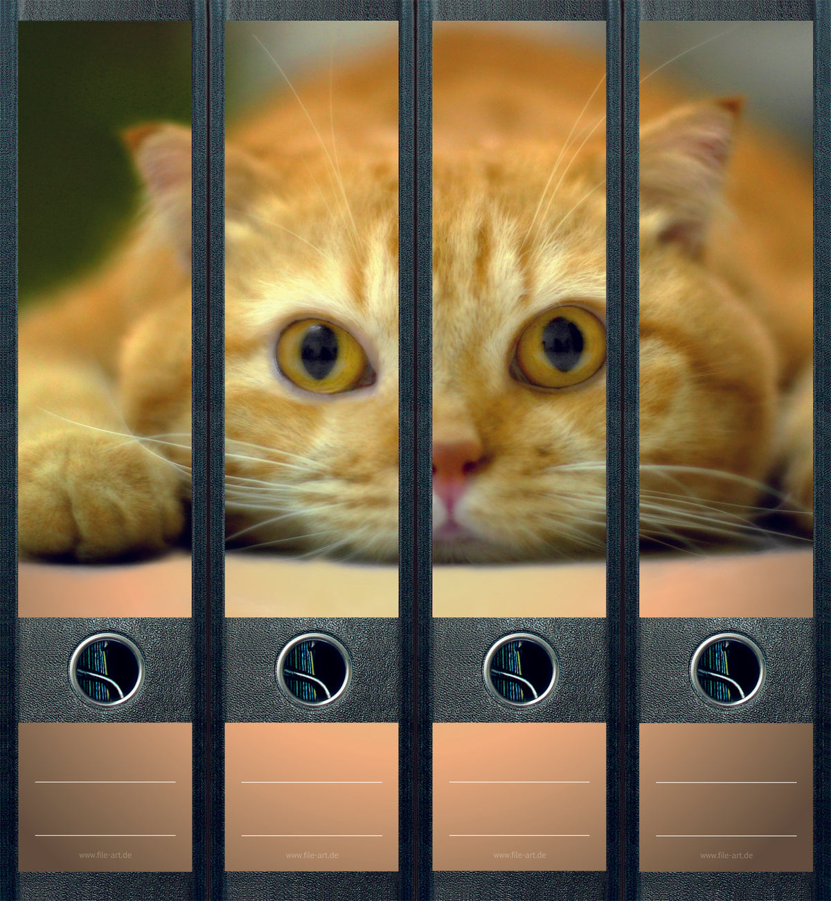 file art 4er-Ordnerrücken-Etiketten-Set &quot;Kitty&quot; für 7,5 und 8 cm Ordner