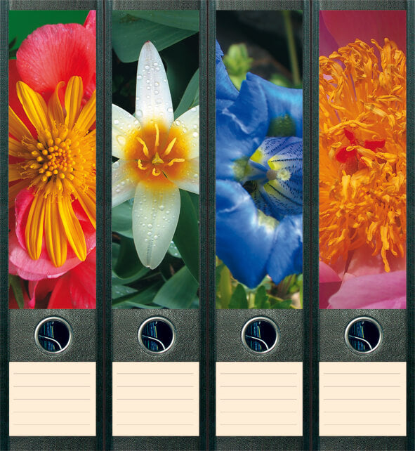 file art 4er-Ordnerrücken-Etiketten-Set &quot;4 Flowers&quot; für 7,5 und 8 cm Ordner