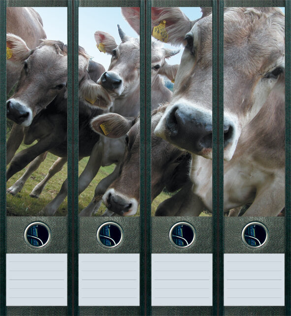 file art 4er-Ordnerrücken-Etiketten-Set &quot;Cows&quot; für 7,5 und 8 cm Ordner