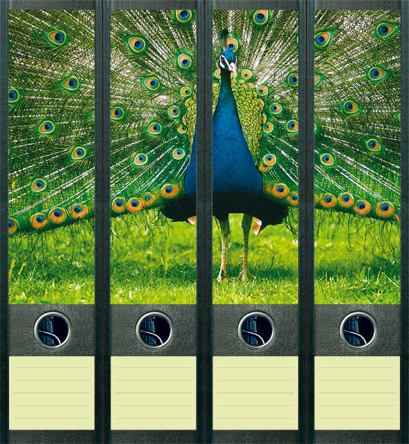 file art 4er-Ordnerrücken-Etiketten-Set &quot;Peacock&quot; für 7,5 und 8 cm Ordner