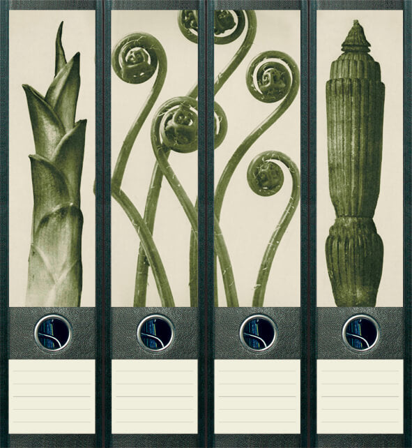 file art 4er-Ordnerrücken-Etiketten-Set &quot;Plant Art&quot; für 7,5 und 8 cm Ordner