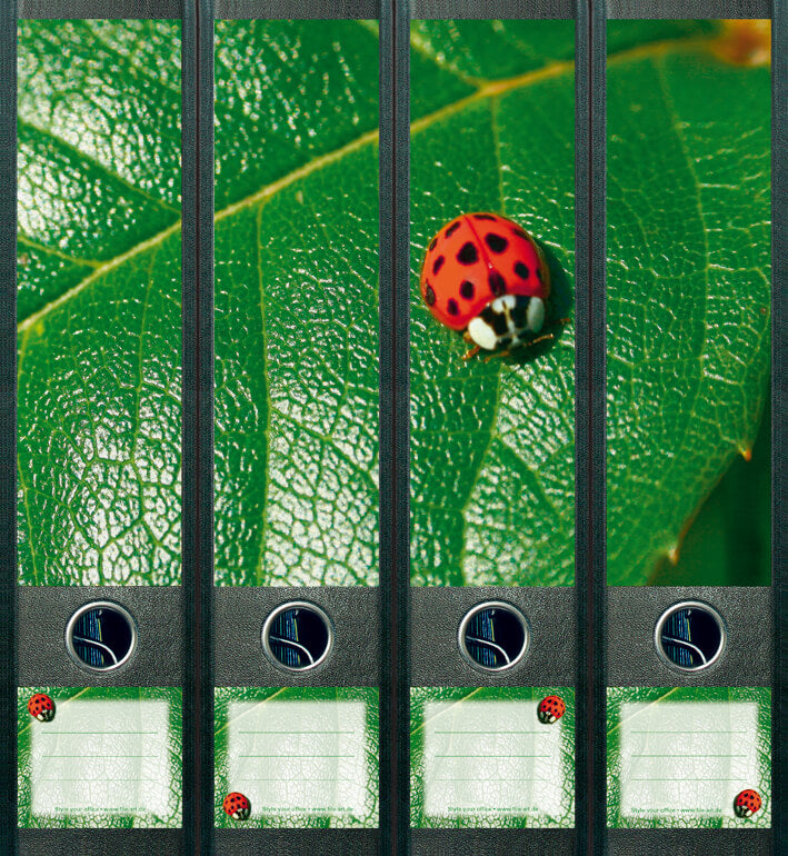 file art 4er-Ordnerrücken-Etiketten-Set &quot;Ladybird&quot; für 7,5 und 8 cm Ordner