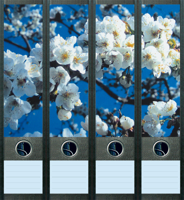 file art 4er-Ordnerrücken-Etiketten-Set &quot;Cherry Blossom&quot; für 7,5 und 8 cm Ordner