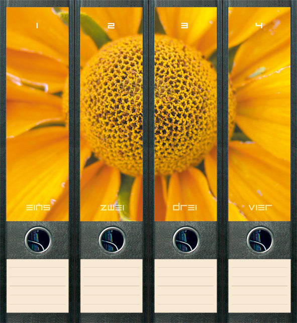 file art 4er-Ordnerrücken-Etiketten-Set &quot;Sunflower&quot; für 7,5 und 8 cm Ordner